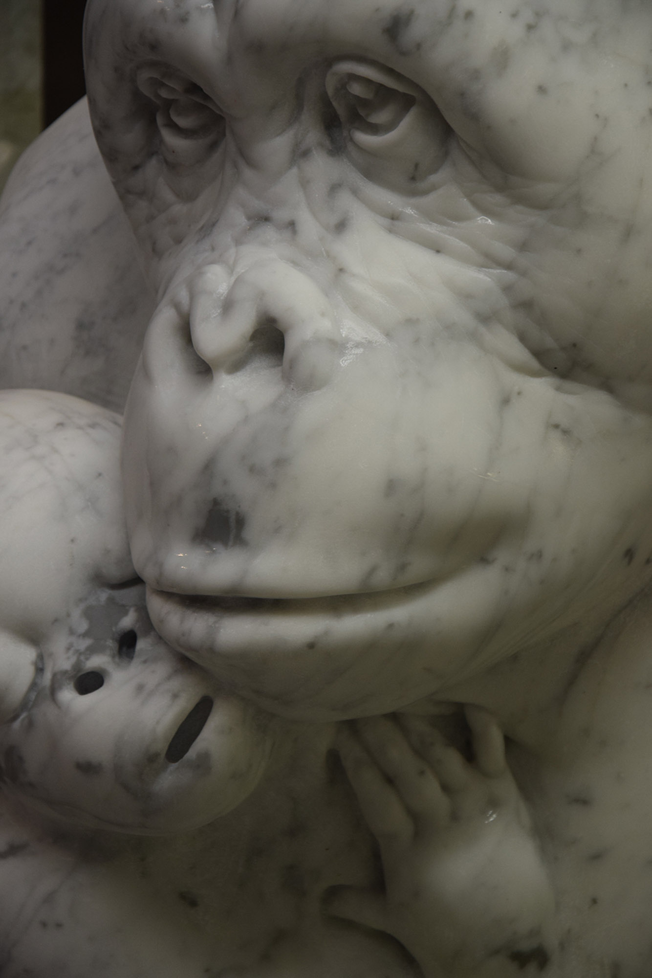 Anthony_Cognaux-DesignStone-The_Mineralist-Carrare_Marbre_Marble-Sculpture-Orang_Outan-Monkey